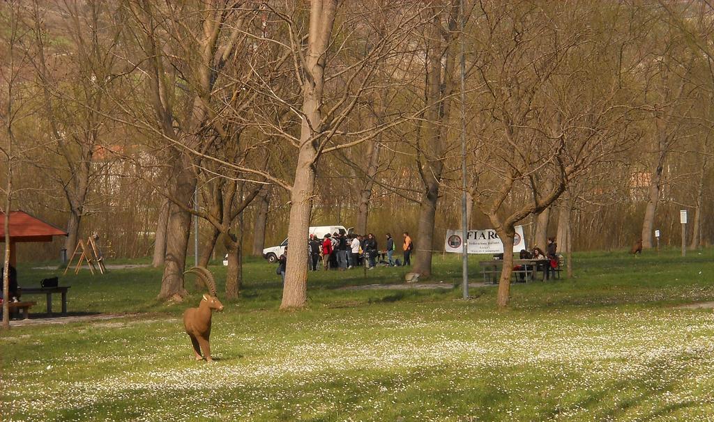 Azienda Agrituristica La Casetta Del Pollino Морманно Экстерьер фото